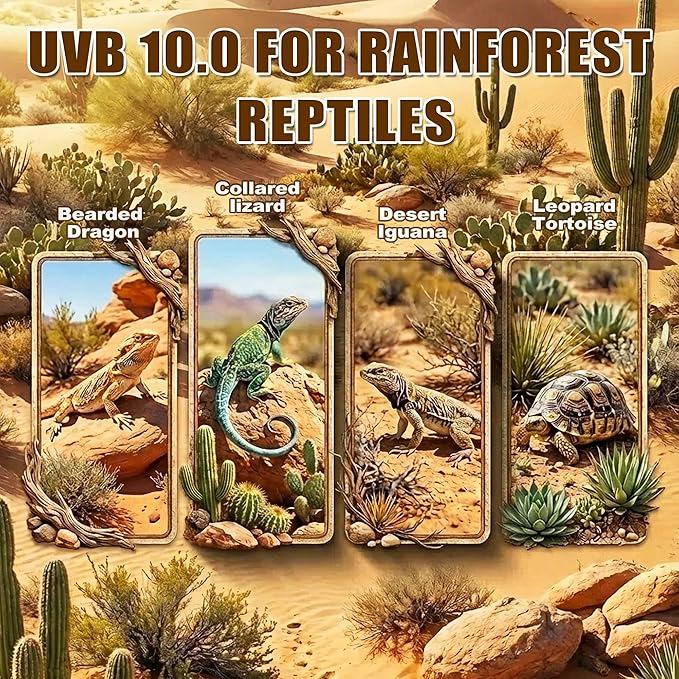 T5 HO UVB Reptile Light Kit, 6.4" Fixture with 4W 10.0 UVB Tube, Suitable for Desert Reptiles Including Juvenile Bearded Dragons in Small Terrariums