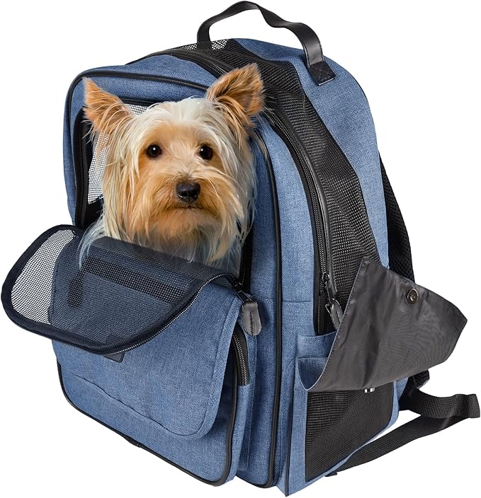 Flamingo F WIRO Backpack Blue 40 x 25 x 41 cm