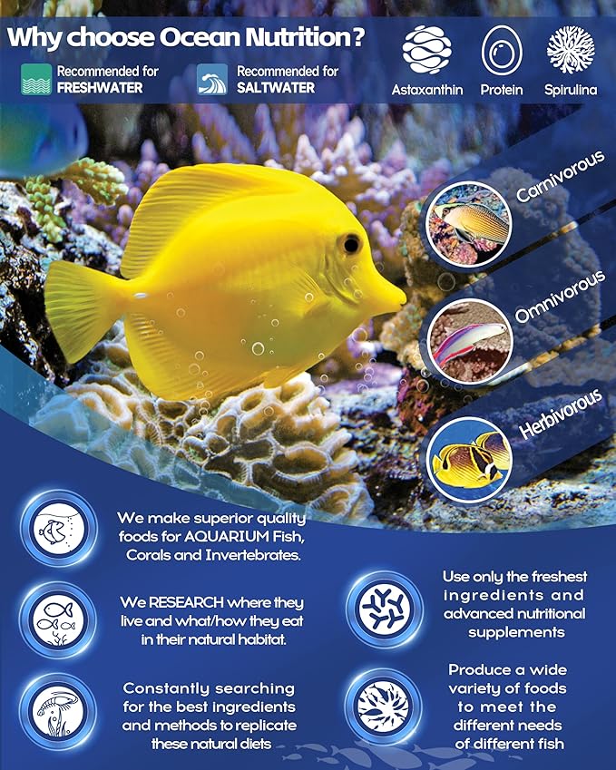Ocean Nutrition Formula Two Pellets - Fish Food for Herbivorous & Omnivorous Marine Tropical Fish, High Protein(40%) - 1.1 lbs (500 g) XL Pellets