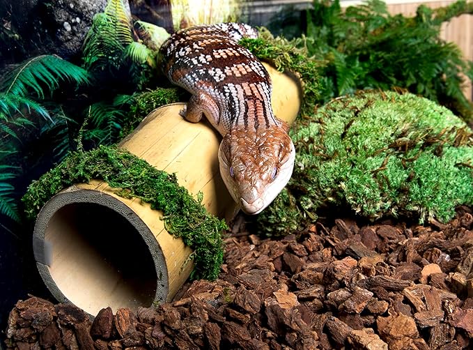 Galapagos (05026) Jurassic Fir Bark® 100% Douglas Fir High Absorbency Reptile Bedding, Ideal for Snakes, Geckos, & Tropical Terrariums, 24QT