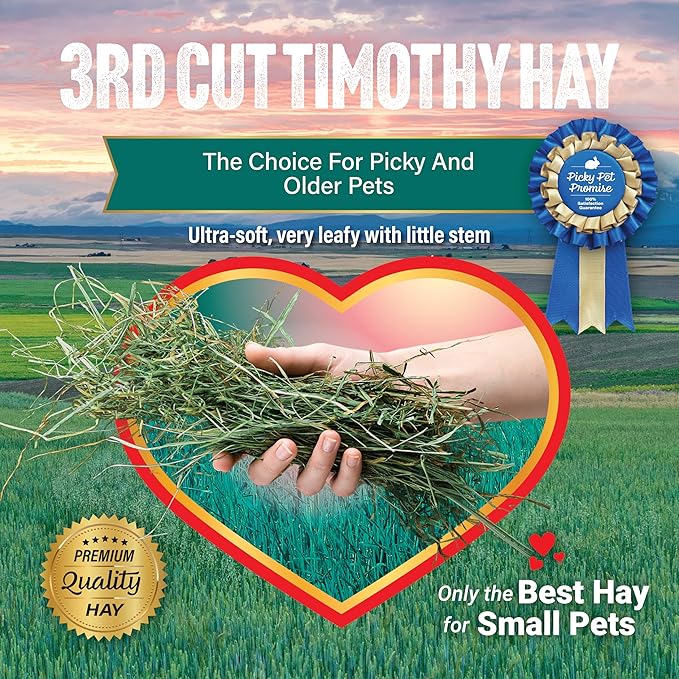 Small Pet Select 3rd Cutting Timothy Hay, Animal Food for Guinea Pig, Rabbit, Hamster, Bunny, or Chinchilla, Natural Hay Grown in The USA, 40lb