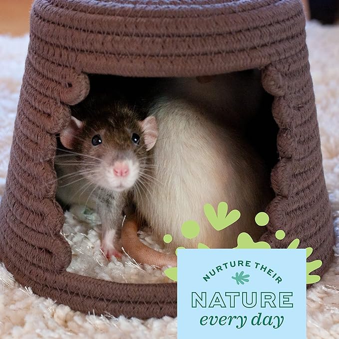 Oxbow Animal Health Timothy Club Mat, Large, Guinea Pig Hideout, Guinea Pig Toys, Bunny Toys, 100% Timothy Hay, Bunny Enrichment for Rabbit Cage, Rat Cage Accessories (Pack of 2)