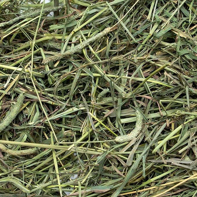 Rabbit Hole Hay - Ultra Premium Medium Timothy Hay for Small Pets - 10 lb Box - Farm Fresh & Nutritious