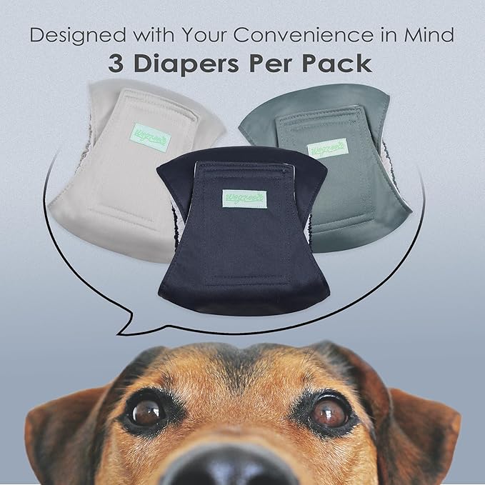 wegreeco Washable Male Dog Belly Band (Stylish Pattern)- Pack of 3 - Washable Male Dog Belly Wrap, Dog Diapers Male (Blue, Green, Champagne, Large)
