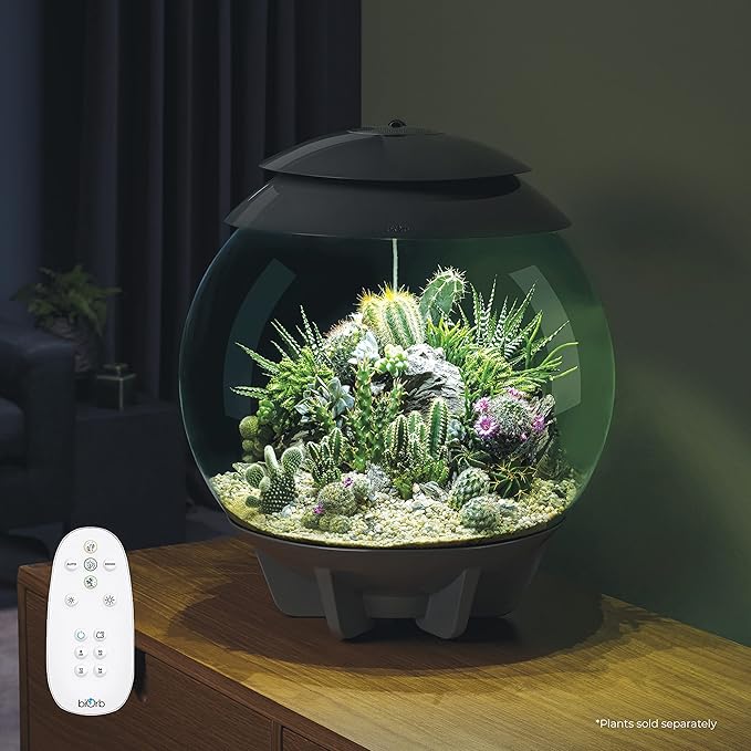 biOrb AIR 30, Fully Automated Terrarium for Arid, Temperate, or Tropical Plants, Gray