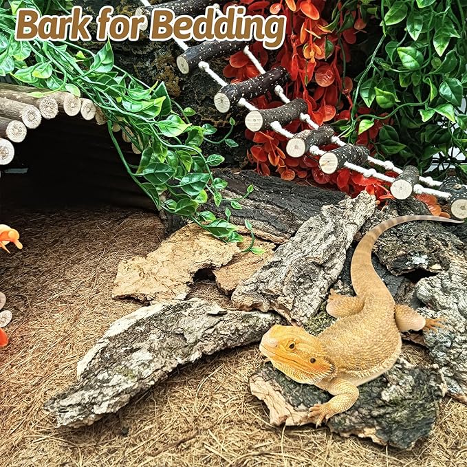 BNOSDM Reptile Cork Bark Substrate 2LB Lizard Bedding for Habitat Natural Flat Cork Wood Bulk Terrarium Reusable Bark Pieces for Chameleon, Ball Python, Crested Gecko, Spider, Tortoise, Tree Frog
