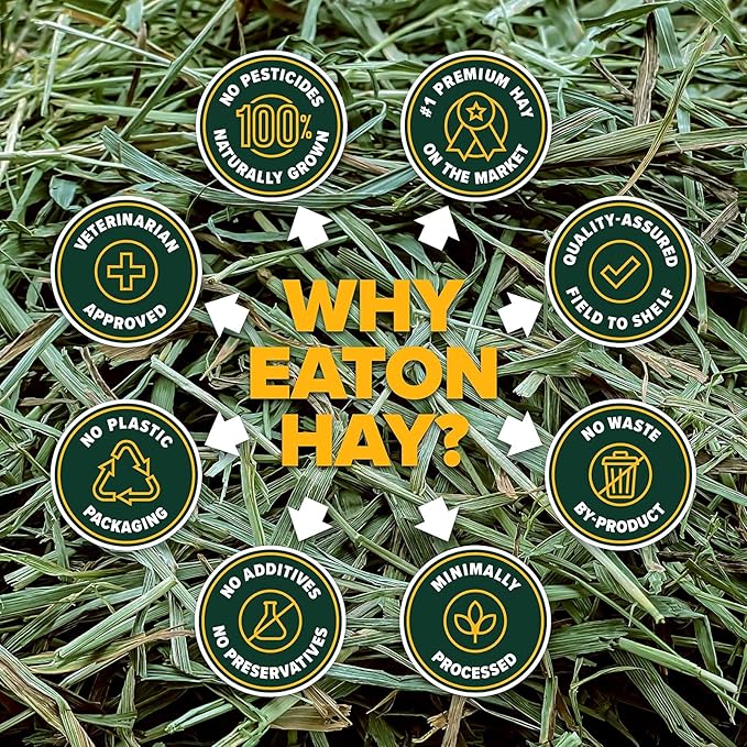 Eaton Pet and Pasture Naturally Grown, Premium, 1st Cut Blend, Western Timothy Hay Orchard Blend, Small Animal Food, Sustainable, Eco-Friendly, Farmer-Owned, 6LB-Box. (Pack of 2)
