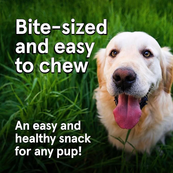 Real Meat Dog Treats - Two 12oz Bag of Bite-Sized Air-Dried Venison & Chicken Jerky for Dogs - Grain-Free Jerky Treats with 95% Free-Range Venison & Chicken - All-Natural Treats