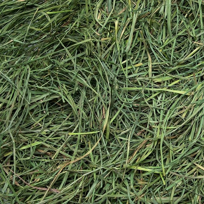 Rabbit Hole Hay - Ultra Premium Soft Orchard Grass for Small Pets - 20 lb Box - Ideal for Small Pets