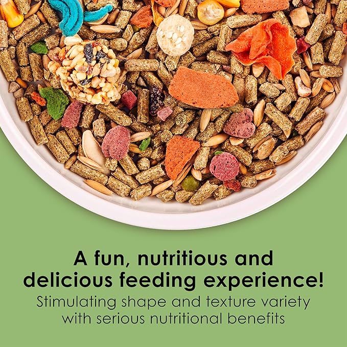 Kaytee Fiesta Guinea Pig Food, Nutritious and Fun Blend, Supports Dental Health and Digestion, 25 pounds