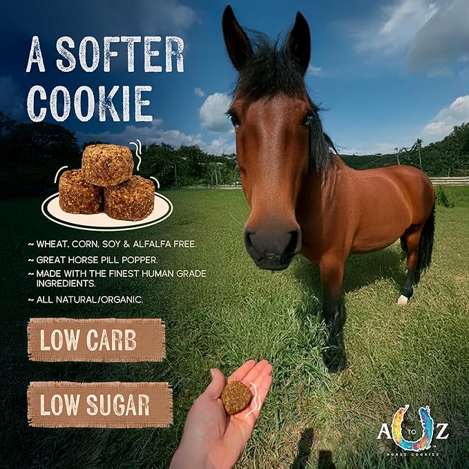 Horse Treats, Blonde Bits of Health, Low Carb/Sugar, A Softer Cookie, Wheat, Corn, Soy & Alfalfa Free, Made with Cinnamon & Agave, All Natural Ingredients, 4.5 lb
