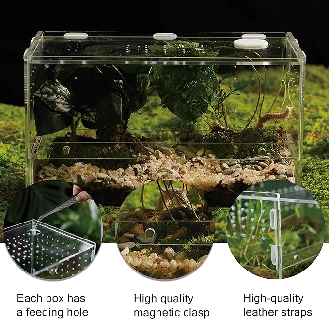 Acrylic Clear Reptile Habitat Enclosure Terrarium with Latch ，Perfect for Amphibians and Invertebrates Such as Spiders, Frogs, etc (Horizontal)