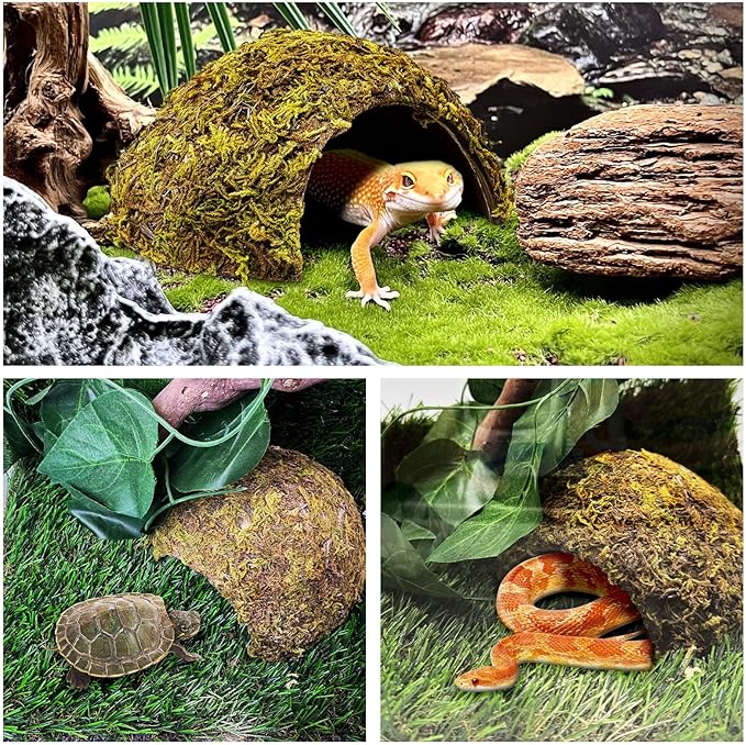PINVNBY 2 Pack Natural Green Moss Hide Caves Coconut Reptile Hideouts Hamster Climbing Toys Gecko Habitat Decor Lizard Shell Shelter for Snake Tarantulas Turtle Chameleon