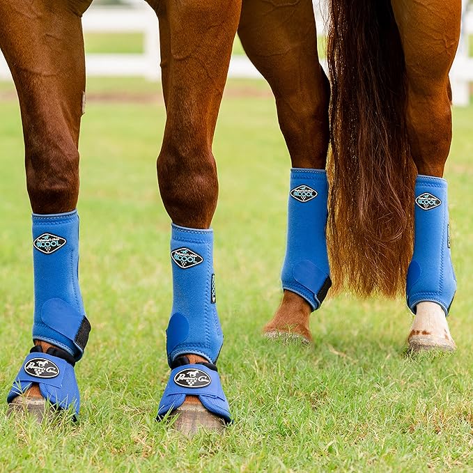 Professional's Choice 2XCOOL Sports Medicine Horse Boots | Protective & Breathable Design for Ultimate Comfort & Durability in Active Horses | Value 4 Pack