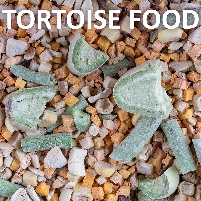 Healthy Herp Tortoise Food Instant Meal for Reptiles - Nutritious Turtle Food, Tortoise Habitat Accessories - Made in USA - for Box Turtles, Lizards, Tortoises - Variety Pack (14 Cups & 1 Dish)