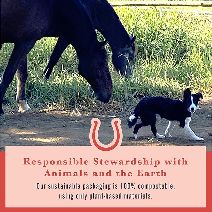 Withers & Withers Sugar-Free Horse Treats – Ginger, Licorice with Oat Bran Horse Cookies, Goat Treats, Healthy Equine Snacks 16 Oz, 100% Compostable Bag – Humane Plant-Based Ingredients for Horses