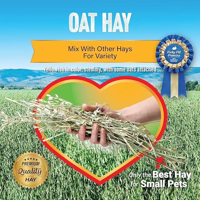 Small Pet Select Oat Hay Pet Food, 20 lb.