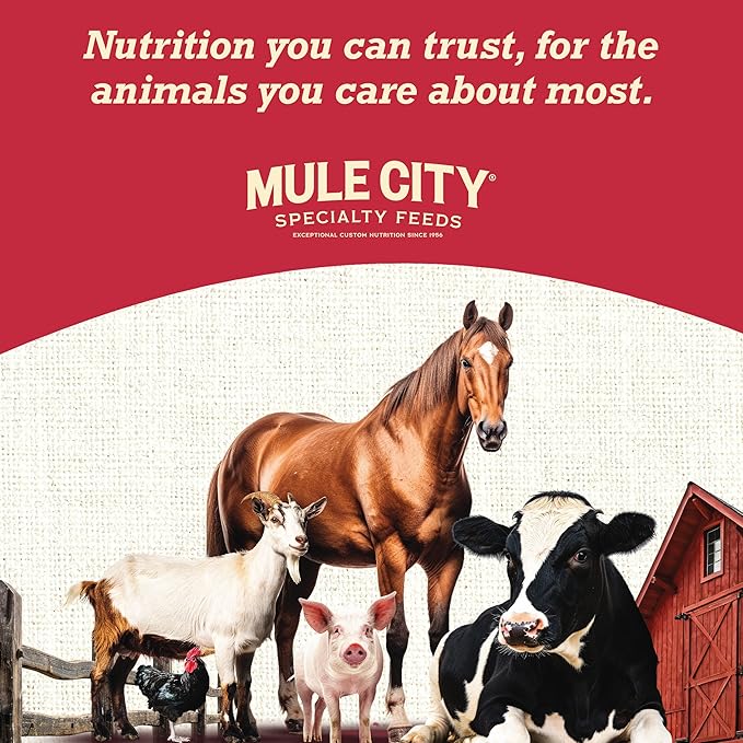 Active Series High Fat Horse Feed - 40 lb Bag, Energy-Dense Daily Horse Feed for Active and Working Horses, Designed to Support Body Condition and Consistent Performance Feeding Programs