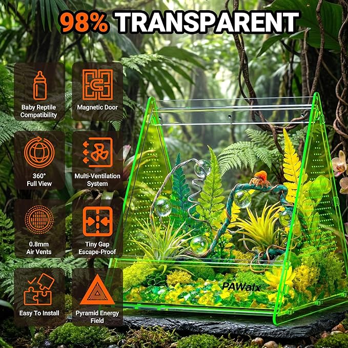 Triangular Jumping Spider Enclosure, Acrylic Terrarium with Magnetic Doors, 0.8mm Micro-Ventilation& Escape-Proof Design for Tarantulas, Lizards, Small Pets (Green,9.4"x10.9"x10.6")