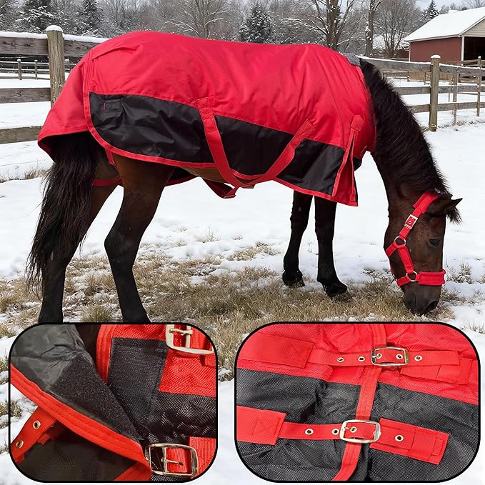 Mini Horse/Pony/Foal/Miniature Turnout Blanket, Medium Weight Winter Blanket for Horses, Donkey Blanket, 1680 Denier Waterproof &Breathable/220g Filling (Red, 51in)