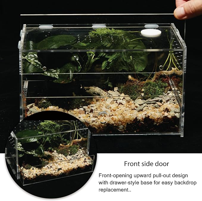 Acrylic Clear Reptile Habitat Enclosure Terrarium with Latch ，Perfect for Amphibians and Invertebrates Such as Spiders, Frogs, etc (Horizontal)