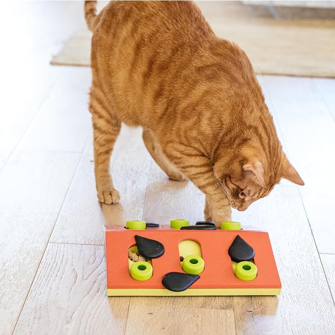 Catstages Nina Ottosson Melon Madness Puzzle & Play Cat Toy, 10.6" - Image 8