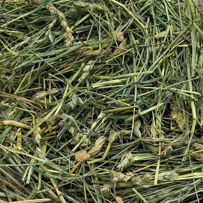 Rabbit Hole Hay - Ultra Premium Coarse Orchard Grass for Small Pets - 5 lb Box - Hand-Sorted Freshness
