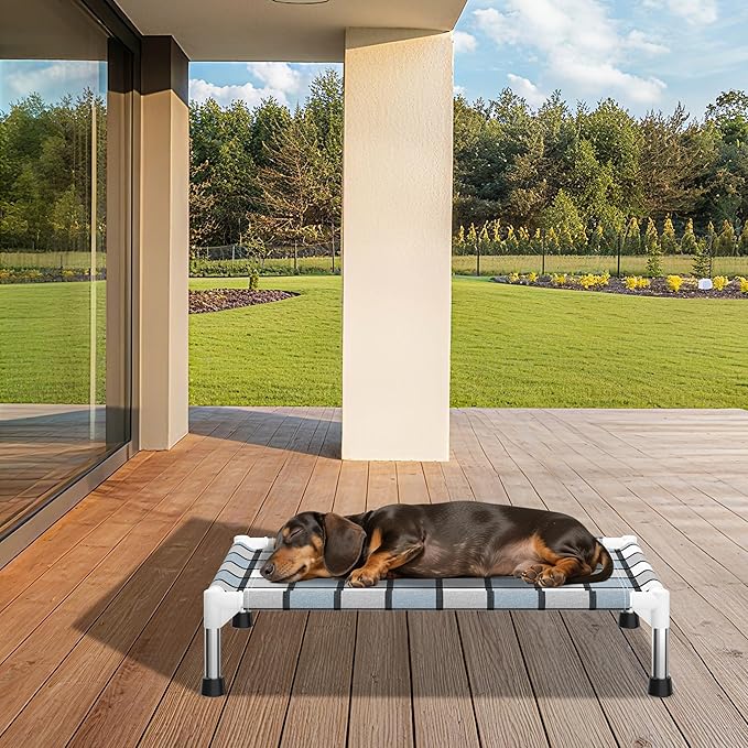 Caghash Elevated Outdoor Raised Dog Bed Outdoor Dogs Bed Lifted Pet Bed Dog Cot for Pet Taste Life, Start with A Pet Bed 26'' x 20'' x 6.5''