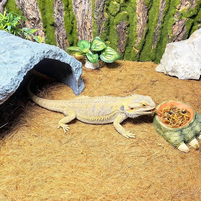 Hamiledyi 78.7x15.7in Reptile Carpet Coconut Fiber Substrate Large Snake Bedding Coco Liner Roll Mat for Bearded Dragon Tortoise Lizard Habitat Pad Garden Decoration