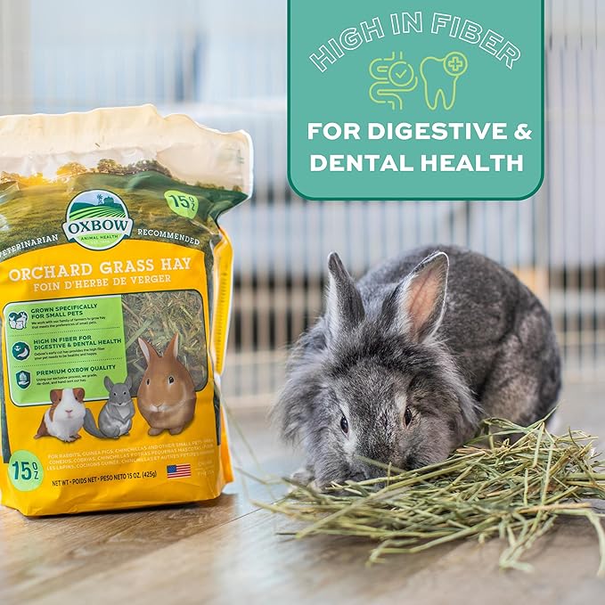 Oxbow Orchard Grass Hay, Rabbit & Guinea Pig Hay, High Fiber for Digestive Health, Grown in USA, Veterinarian Recommended Small Pet Supplies, Bulk Food for Rabbits, Guinea Pigs, & Chinchillas, 40 lbs