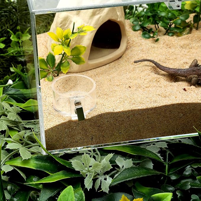 Acrylic Tarantula Enclosure Jumping Spider Enclosure with Front Opening Door 5.3 * 5.3 * 9 Inches Micro Habitat Terrarium for Small Tree Dwelling Reptiles, Spiders & Invertebrates