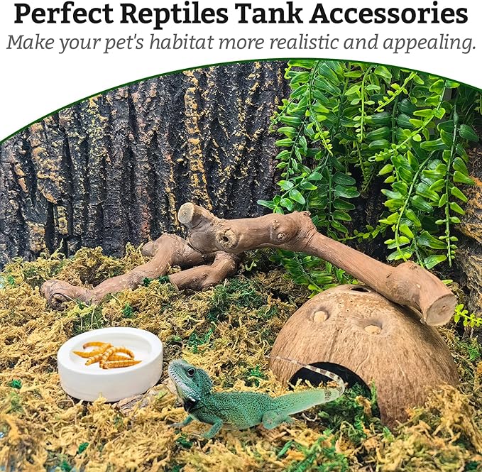 VCEPJH Snake Climbing Branch, 2Pcs Reptile Wood Natural Cork Log Tank Accessories Tree Trunk for Chameleon Bearded Dragon Gecko Snake Frog Spider