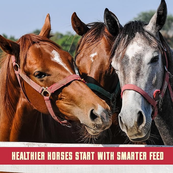 Active Series High Fat Horse Feed - 40 lb Bag, Energy-Dense Daily Horse Feed for Active and Working Horses, Designed to Support Body Condition and Consistent Performance Feeding Programs