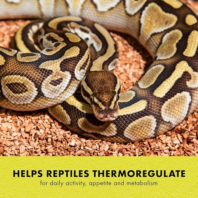 Zilla Heat Mat, Terrarium Heater for Reptiles, Snakes (Ball Pythons, Corn Snakes), Leopard Geckos, Tortoises, Amphibians and Arachnids, Medium, Fits 30-40 Gallon, 16 Watt