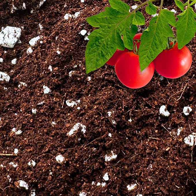 GARDENWISE Coco Perlite - Coco Coir Perlite Mix - 70/30 Growing Media - Hydroponic, Indoor & Outdoor, Grow Bags & House Plants (3 quarts)