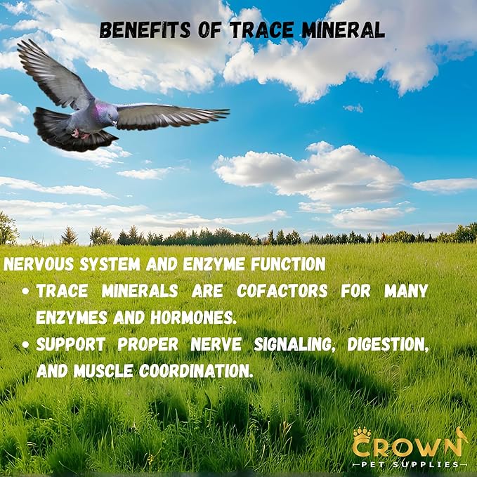 Trace Mineral Powder for Racing Pigeons & All Pigeon Breeds - Supports Physical Development, Growth, Energy, Optimal Metabolism & Overall Vitality