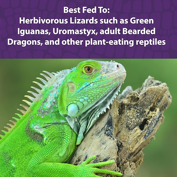 Mazuri® Herbivorous Reptile Diet | Food for Plant-Eating Herbivorous Lizards, Green Iguanas, Uromastyx Lizards | 8 Ounce (8 OZ) Bag