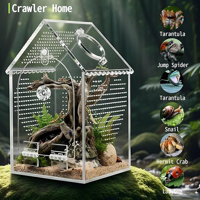 Jumping Spider Enclosure (5" *5" *8") Warp-Proof Seamless Acrylic Tarantula Terrarium with Magnetic Door & Feeding Hatch for Praying Mantis,Snail,Hermit Crabs,Reptile(Includes Decorative Accents)