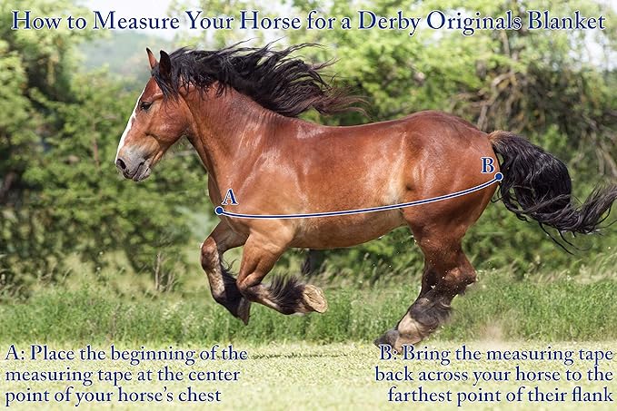 Derby Originals Nordic-Tough 600D Closed Front Horse Stable Blanket – Medium Weight, 200g Insulation, Breathable Triple-Layer Design, 170T Lining, Belly Wrap, for Indoor Use Only (Charcoal, 46")