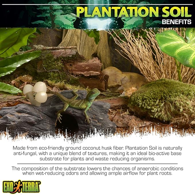 Exo Terra Plantation Soil, 8 Qt (8.8 L) - 100% Natural Terrarium Substrate | Increases Humidity, Stimulates Digging & Burrowing | Ideal for Natural Terrarium Setups & Live Plants (Pack of 4)