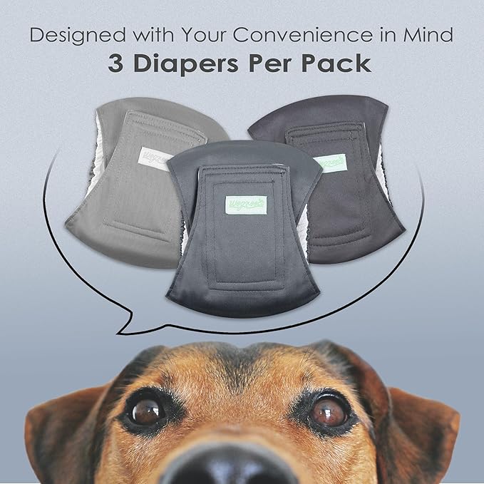wegreeco Washable Male Dog Belly Band (Stylish Pattern)- Pack of 3 - Washable Male Dog Belly Wrap, Dog Diapers Male (X-Large)