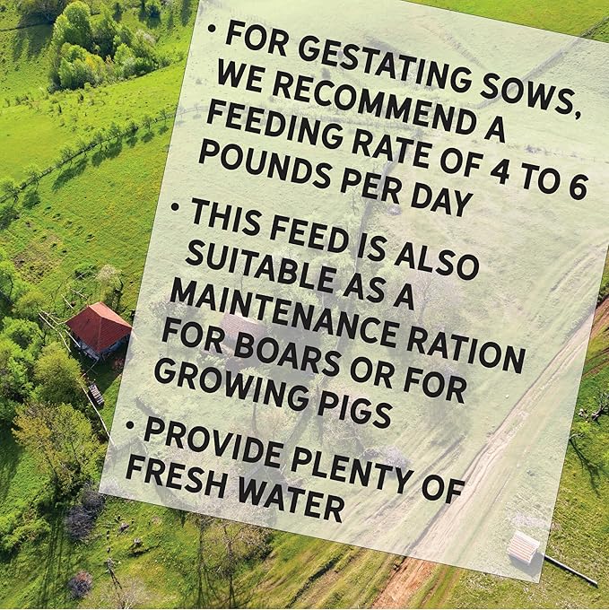 New Country Organics | Swine 12% Protein Feed for Gestating Sows and General Maintenance of Adult and Finishing Hogs | Corn-Free and Soy-Free | Certified Organic and Non-GMO | 40 lbs