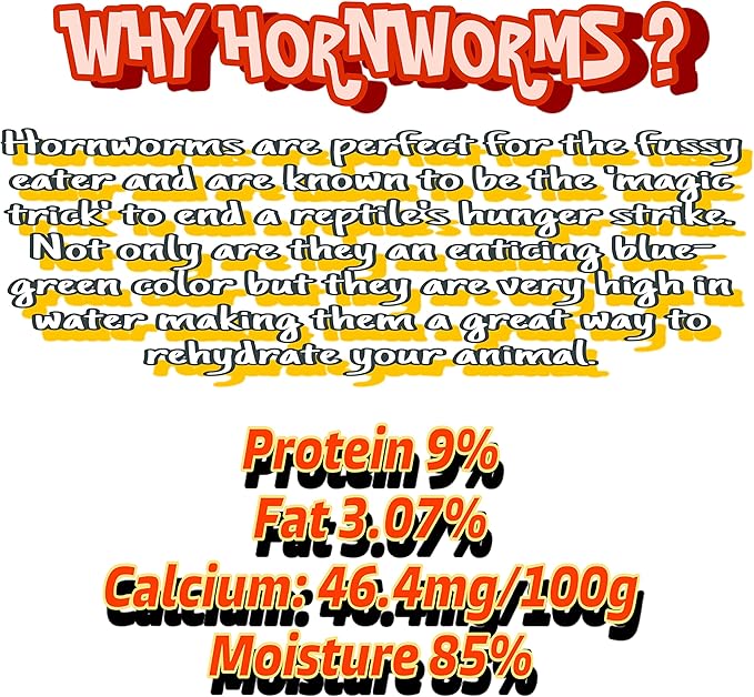 Live Hornworms 24-30+ Counts Per Cup - Super Variety Meal Worms and Live Insects Reptile Treat for Bearded Dragons, Chameleons, Geckos, and Other Reptiles