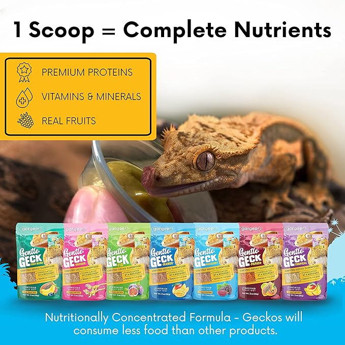 Gargeer 2oz Complete Crested Gecko Food Diet. Premium Mix, Ready to Use Freshly Made Powder. Unique Formula, Developed & Made in the USA. Enjoy! (Mulberry + Insects Protein)