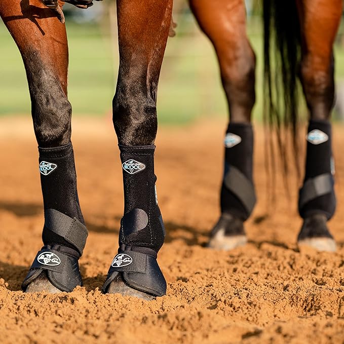 Professional's Choice 2XCOOL Sports Medicine Horse Boots | Protective & Breathable Design for Ultimate Comfort & Durability in Active Horses | Value 4 Pack