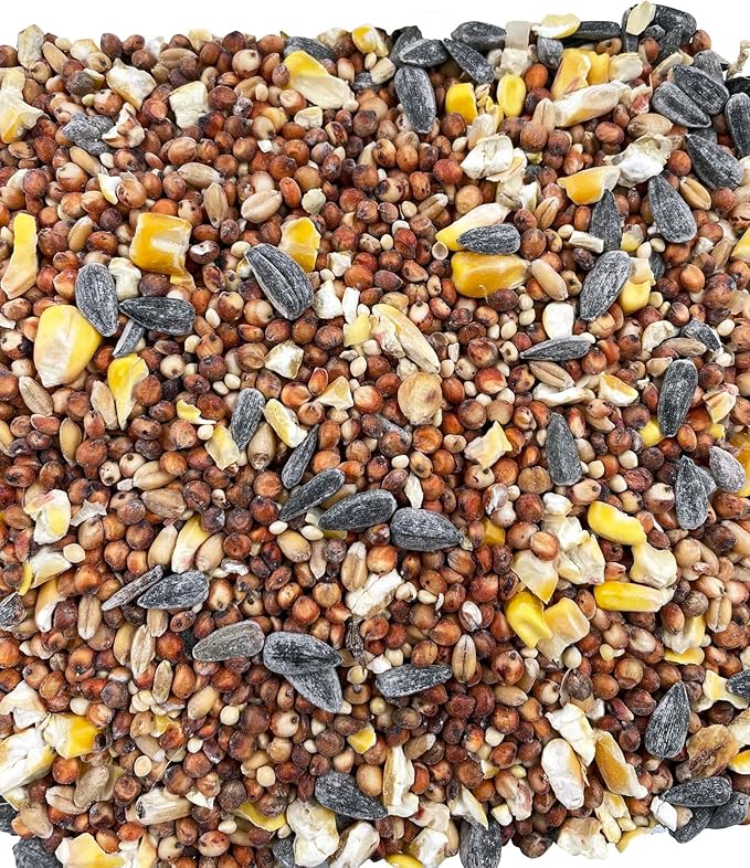 Bits N Things Wild Bird Food | Made in USA & All Season | (7 lbs., Value Feed Mix)