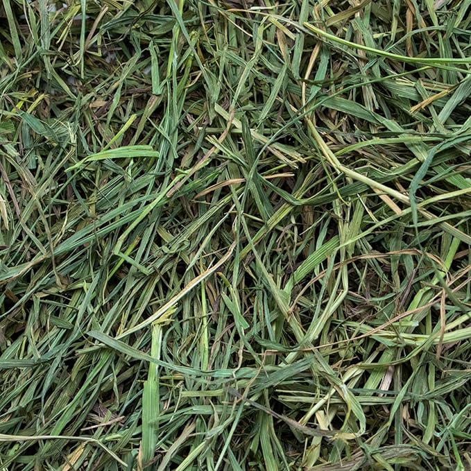 Rabbit Hole Hay - Ultra Premium Soft Timothy Hay for Small Pets - 40 lb Box - Fresh & Nutritious
