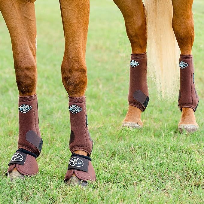 Professional's Choice 2XCOOL Sports Medicine Horse Boots | Protective & Breathable Design for Ultimate Comfort & Durability in Active Horses | Value 4 Pack