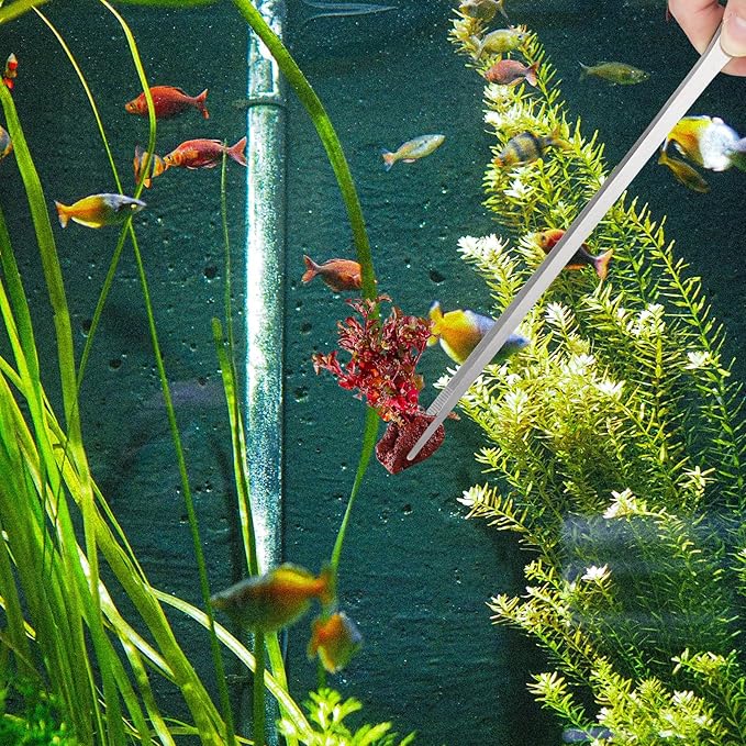 Fri4Free 2PCS Long Aquarium Tweezers - 10.6" Straight and Curved Tweezers, Stainless Steel Reptile Feeding tongs, Terrarium Aquascape Tools Feeder for Lizards, Bearded Dragon Snake Tank Accessories