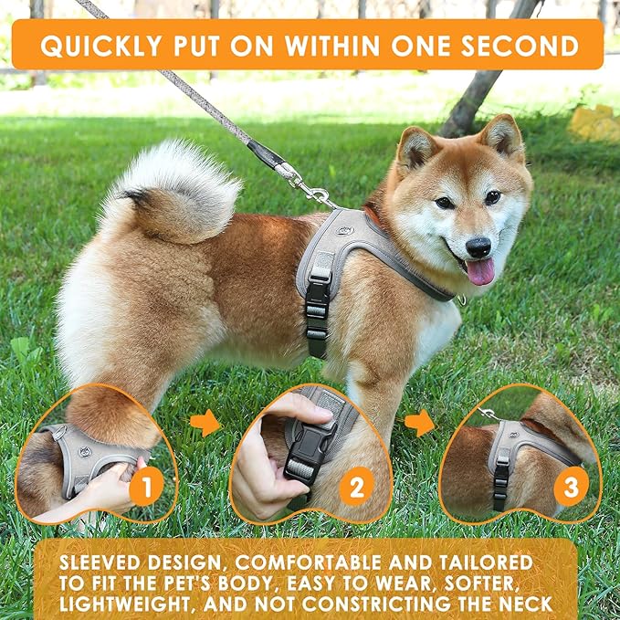 Dog Harness and Leash Set, No Pull Saddle Style Pet Harness, Breathable Mesh Adjustable Reflective Dog Vest for Dogs and Cat Medium Small Harness 2 D-Rings (Grey, M)